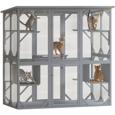 Wayfair outdoor cat clearance house